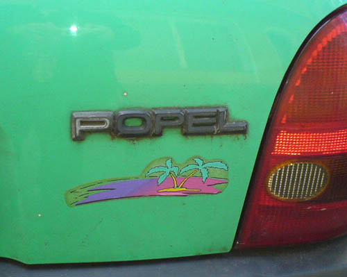 Bilder-Thread popel
