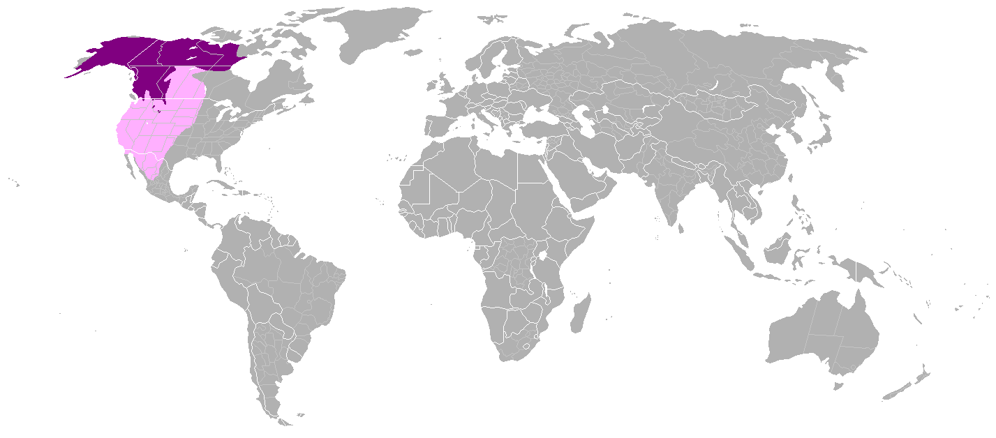 Ursus arctos horribilis distribution