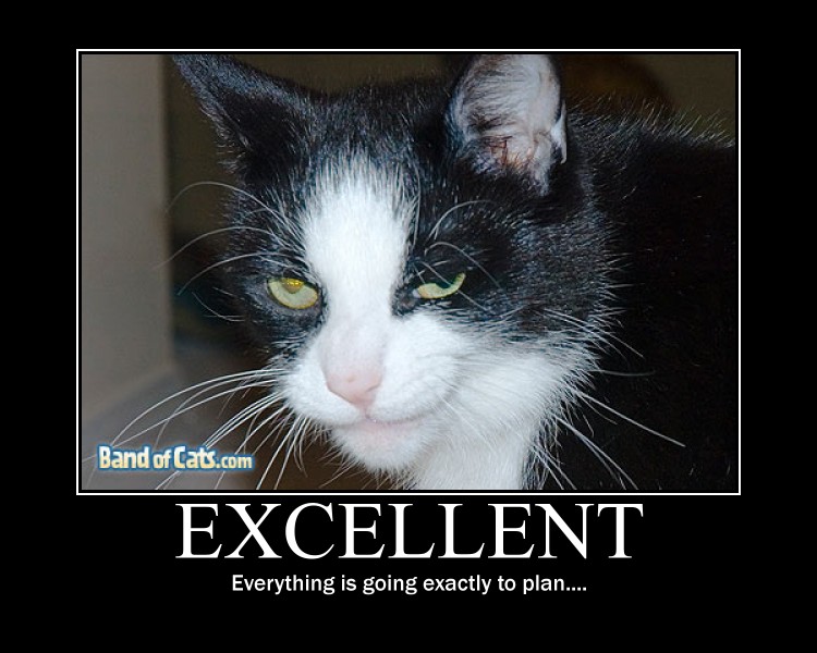 Bilder-Thread Evil cat by Konfan2