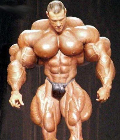 synthol-oleo-para-musculos