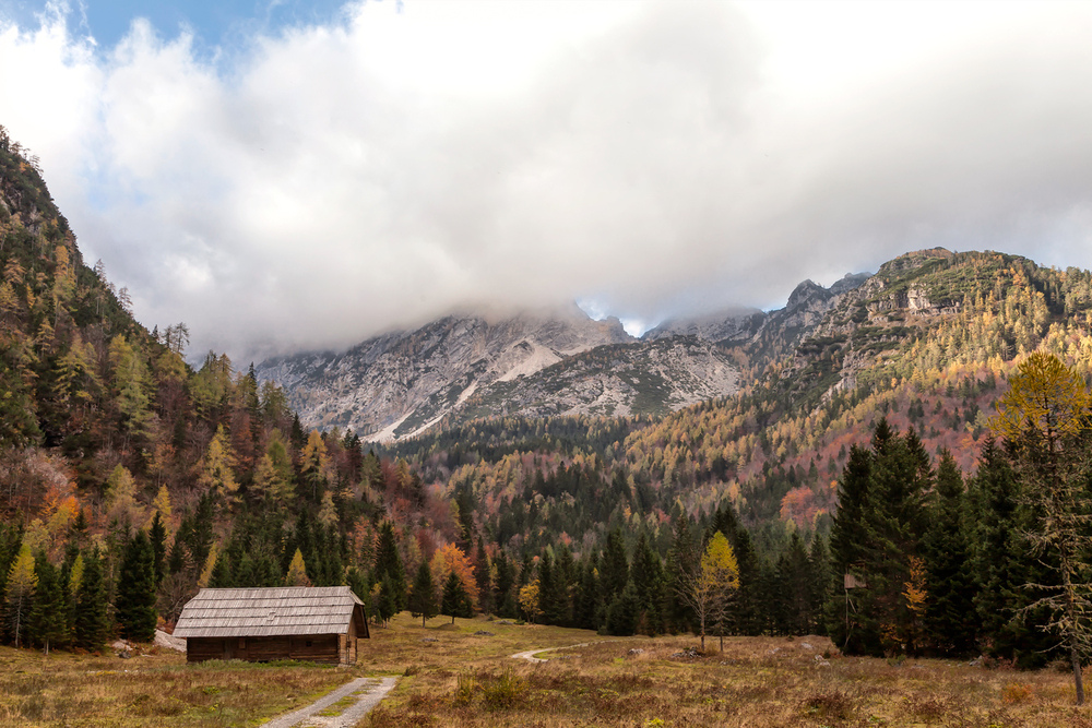 Bilder-Thread im-tal-der-pisnica-5eb10c87-783f-4206-90