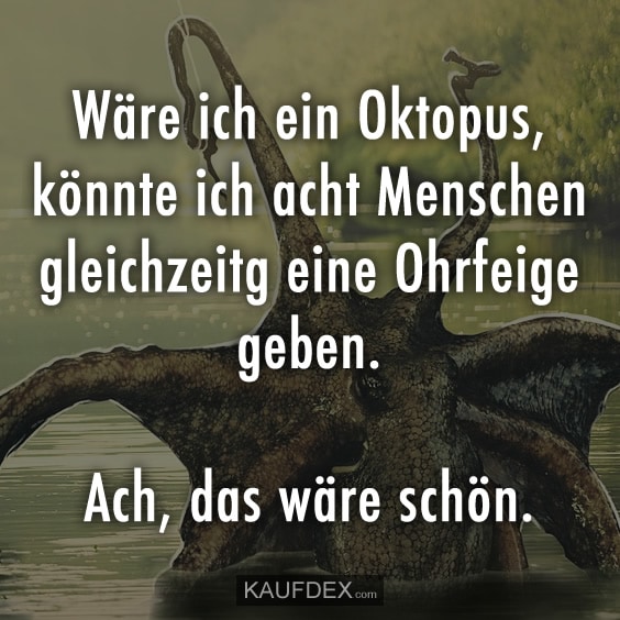 oktopus-ohrfeige-menschen-acht-lustige-s