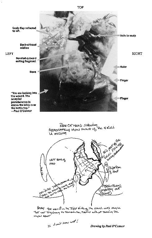 t236384 rotate