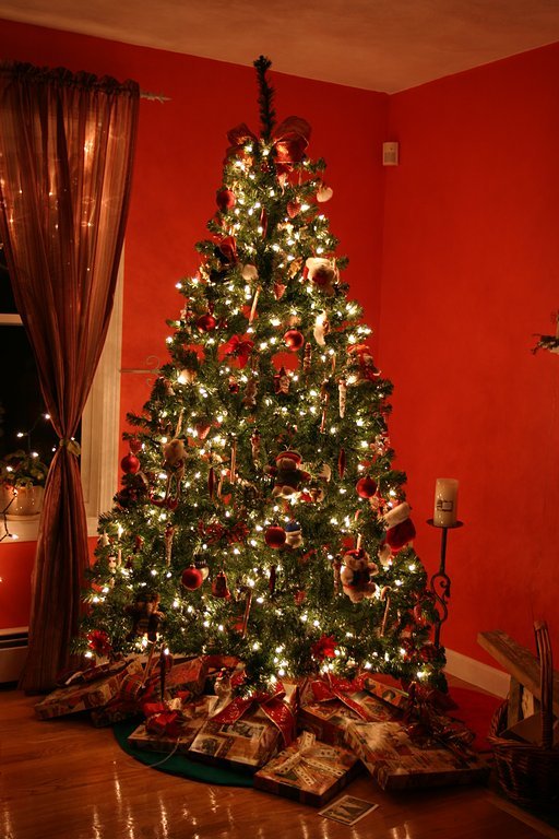 20061211-christmastree-large