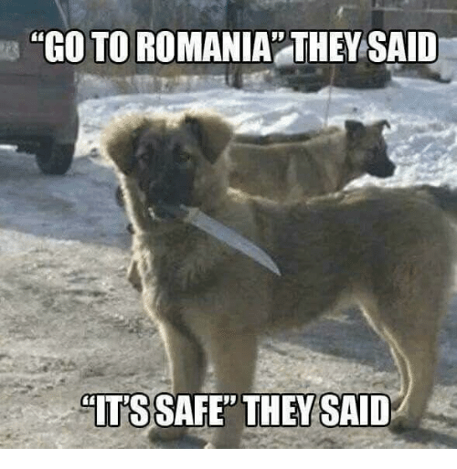 Fumos miese Spelunke go-to-romania-they-said-its-safe-they-sa