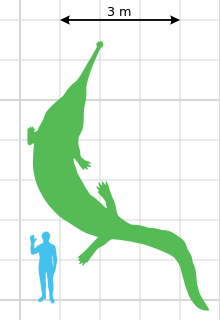 t29fe4e 220px-Prionosuchus scale.svg