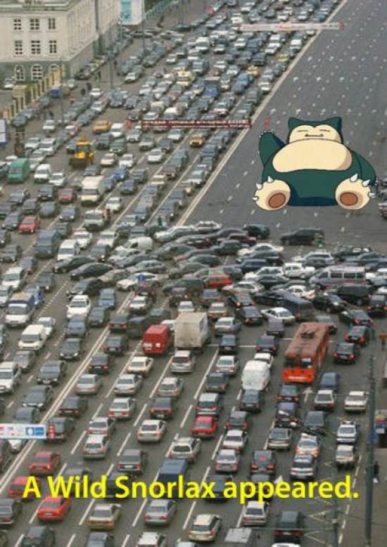 Bilder-Thread tbjWQqc Random-Funny-Photos-Part-168 9