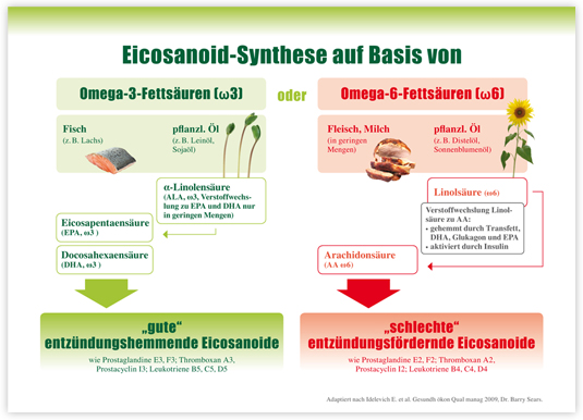 grafik eicosanoid synthese