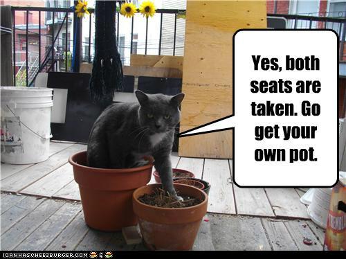 Bilder-Thread tbzveH3 funny-pictures-go-get-your-own-pot