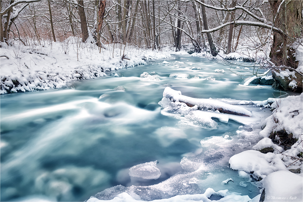 Bilder-Thread im-winterlichen-selketal-b6d153b5-1feb-4
