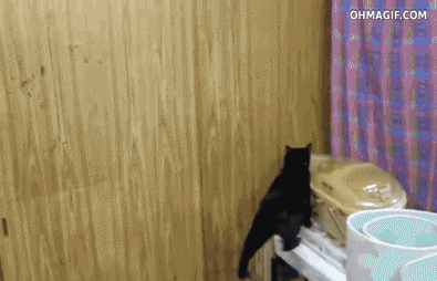 mission-impossible-5-black-cat-edition