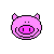 schwein 0071