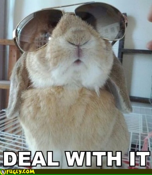 put-on-your-big-bunny-glasses-and-deal-w