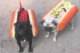 thdogs