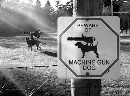 Bilder-Thread BEWARE 2ed794 638819