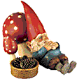 zwerg 0039