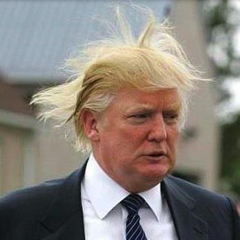 trump-wild-hair