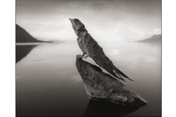 Nick-Brandt-Ausstellung-18-