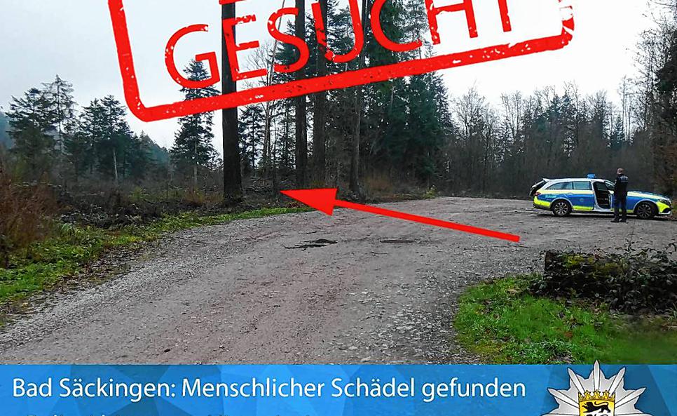 Schädelfund in Bad Säckingen 12336303 shift-966x593 1s9xbx HW4A5O
