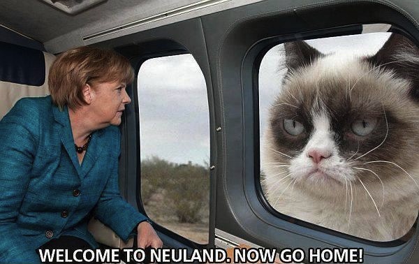 grumpy-cat-meets-merkel-welcome-to-neula