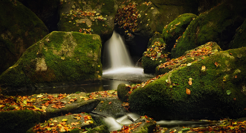 Bilder-Thread herbst-am-bach-e6d5bc09-dc22-48b8-bc6e-0