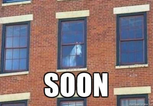 Bilder-Thread soon-horse-window