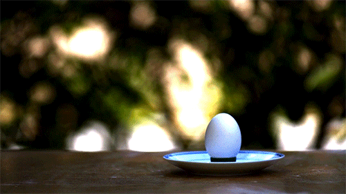 post-28554-slingshot-vs-egg-slow-motion-