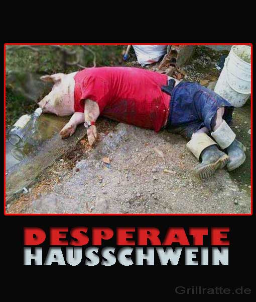 desperate-hausschwein
