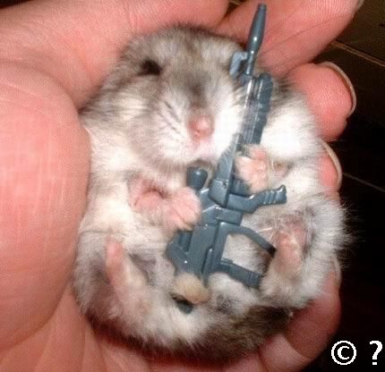 hamsterwaffe-1