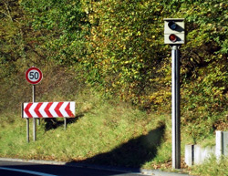 Bilder-Thread str starenkasten