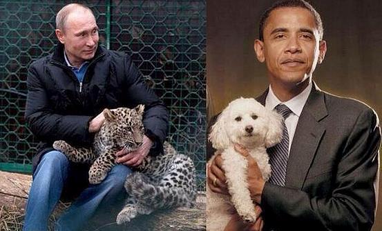 Bilder-Thread putin-obama