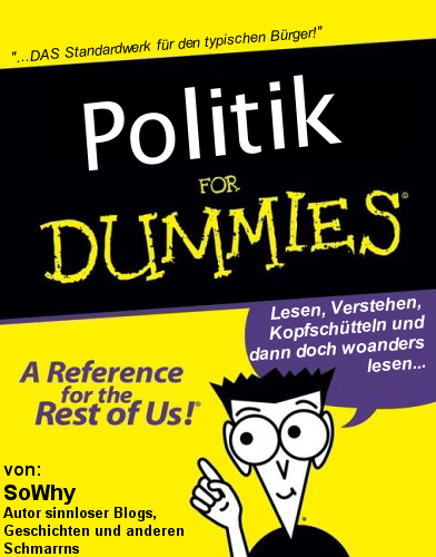 politik for dummies