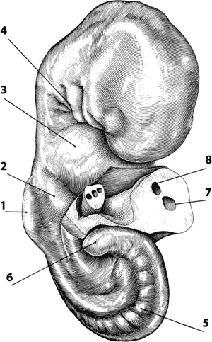 ekl-11-06-z01-06