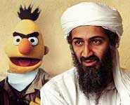 bert-osama