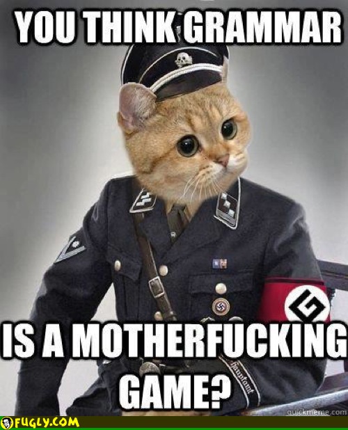 grammar nazi kitten