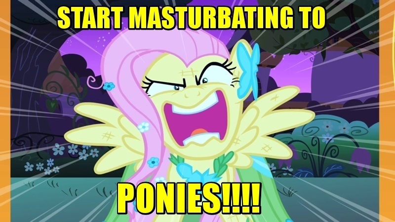 340706  fluttershy solo suggestive text 