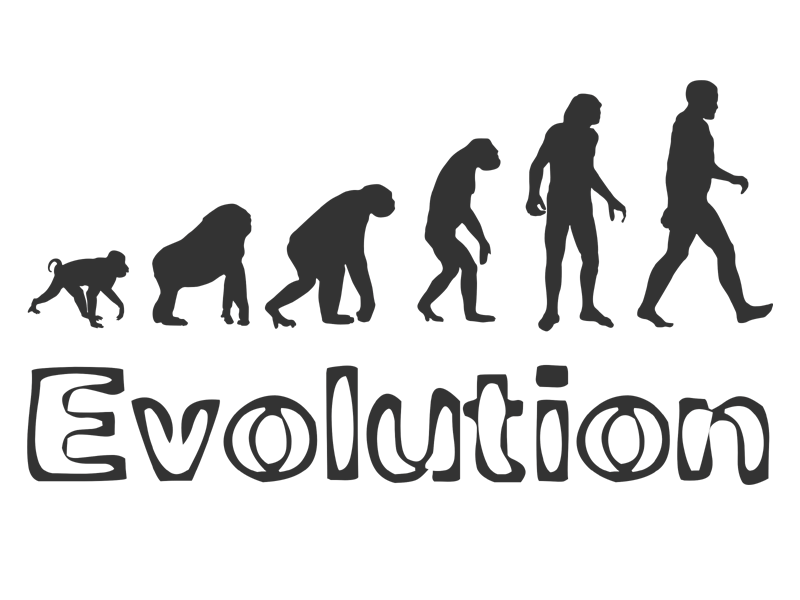 459 1 wandtattoo evolution