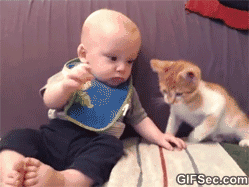 GIF-Baby-high-five-cat