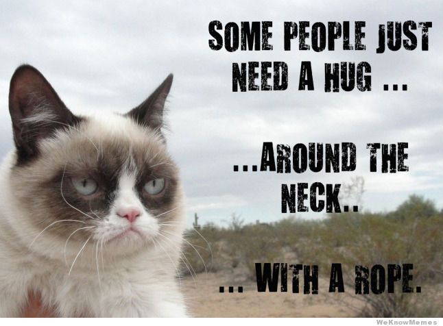 some-people-just-need-a-hug-grumpy-cat