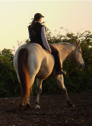 natural horsemanship