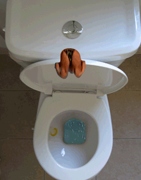 toilet divexp2