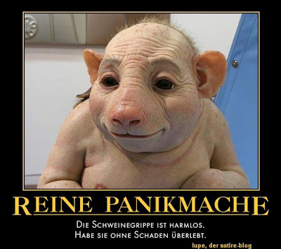 schweinegrippepanikmache