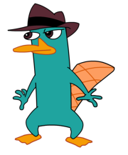 Perry the Platypus answer 4 xlarge