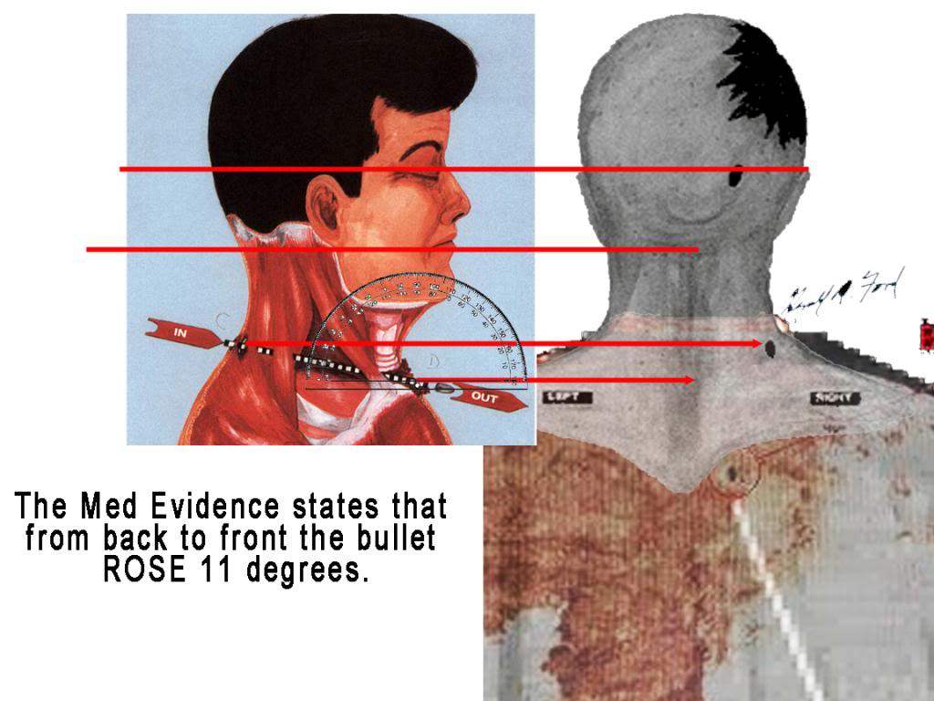 FRAUDintheevidence-rybergandford-thejack