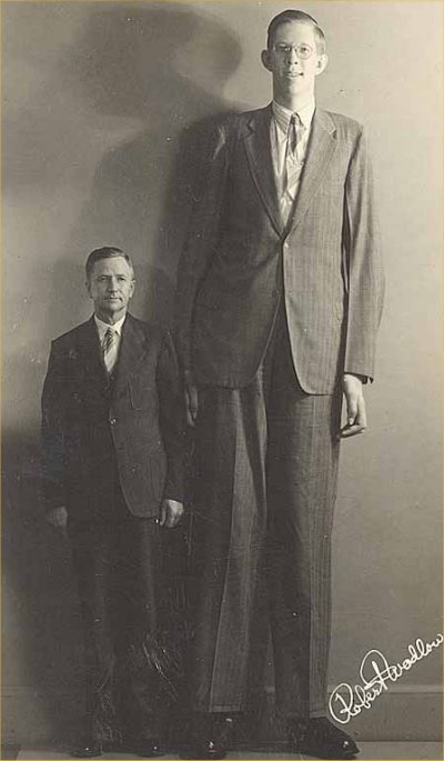 Bilder-Thread Robert Wadlow