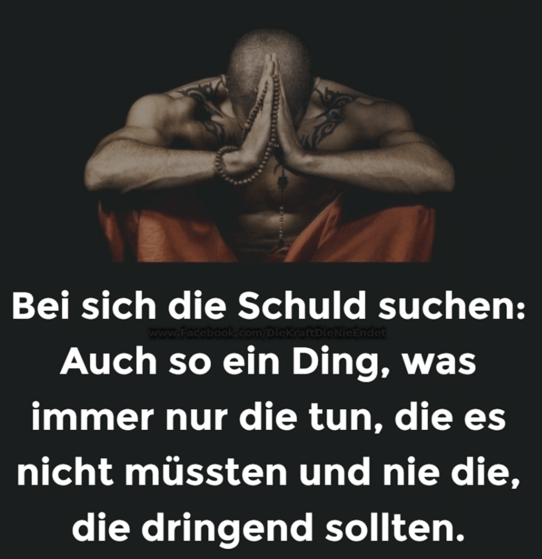 Schuld-suchen