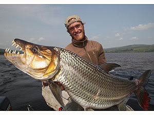 Web Trip GoliathTigerfish Index