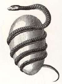 serpent-and-egg