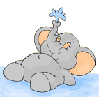 elefant 0256