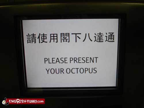 Bilder-Thread octopus1